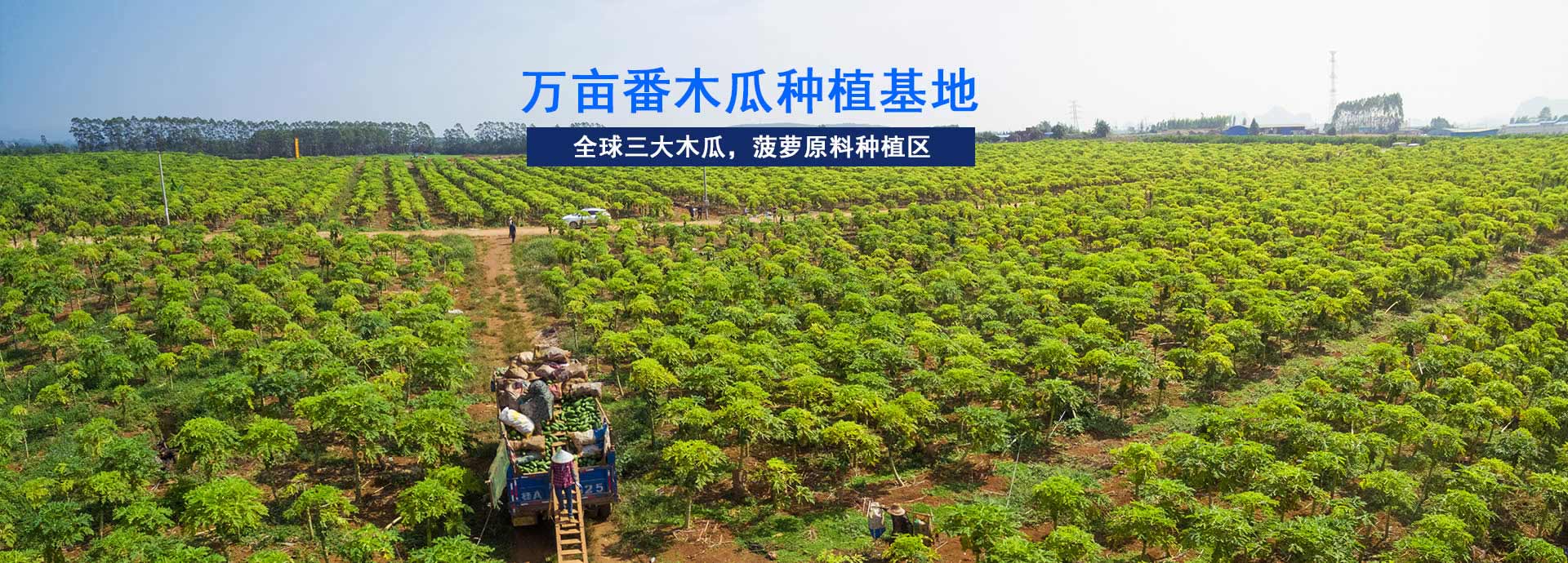 東恒華道-工業園占地5畝，生產車間10000㎡